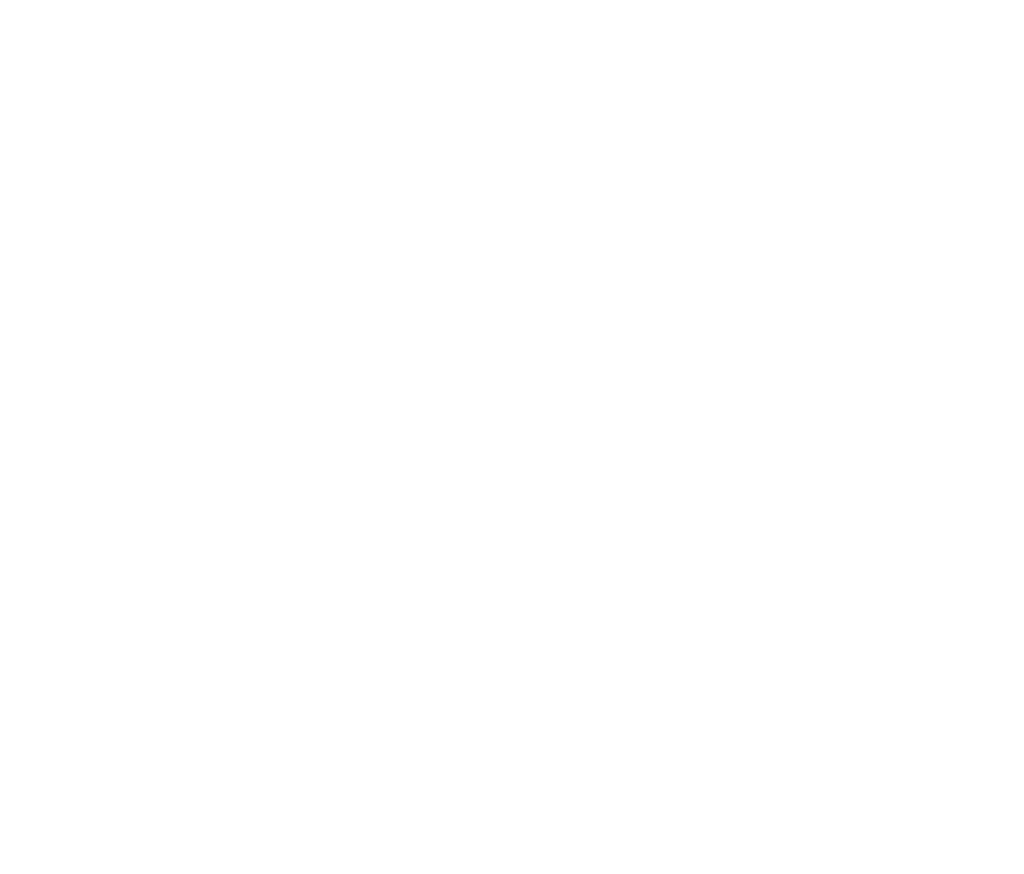 Pocket HRMS Logo